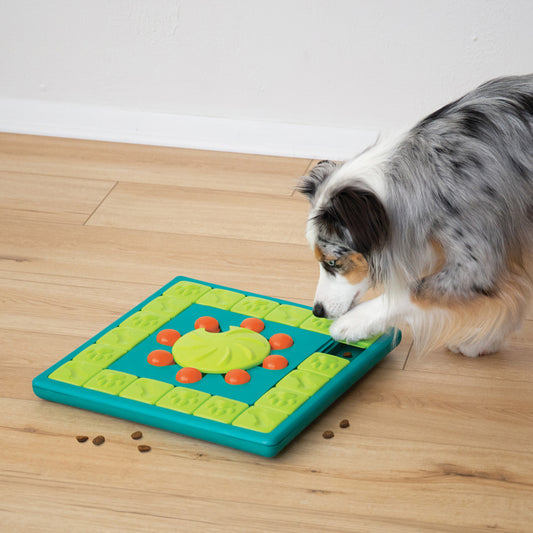 Aktiveringsleksak Multipuzzle Grön