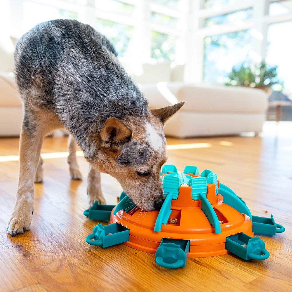 Aktiverings-leksaker