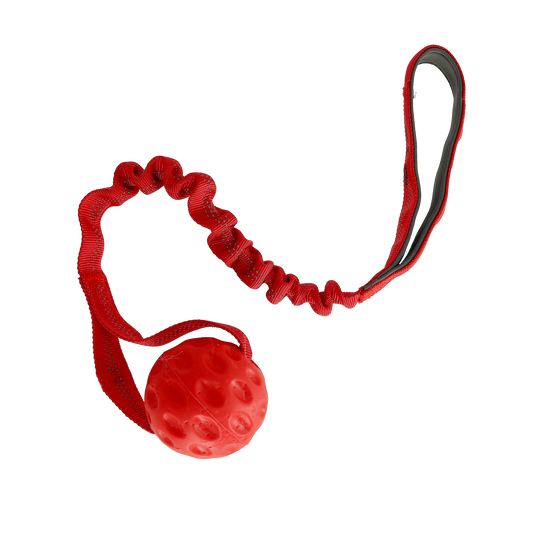 Dogman Valpleksak hård boll Röd 50cm